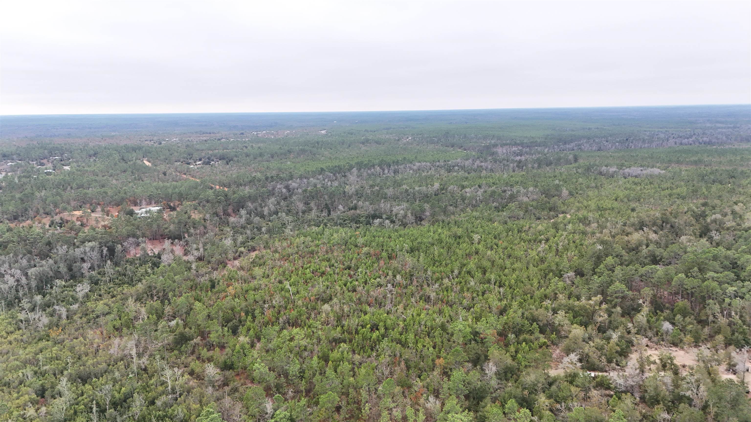 Vacant Joshua Road Marianna, FL 32448 - Photo 3 of 51