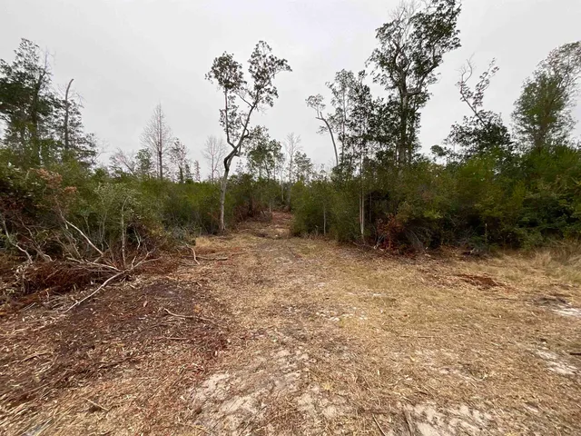 $68,400 | Vacant Joshua Road, Marianna, FL 32448