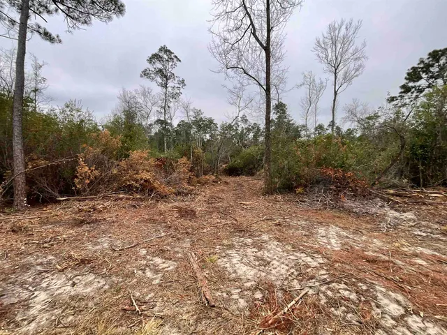 $68,400 | Vacant Joshua Road, Marianna, FL 32448