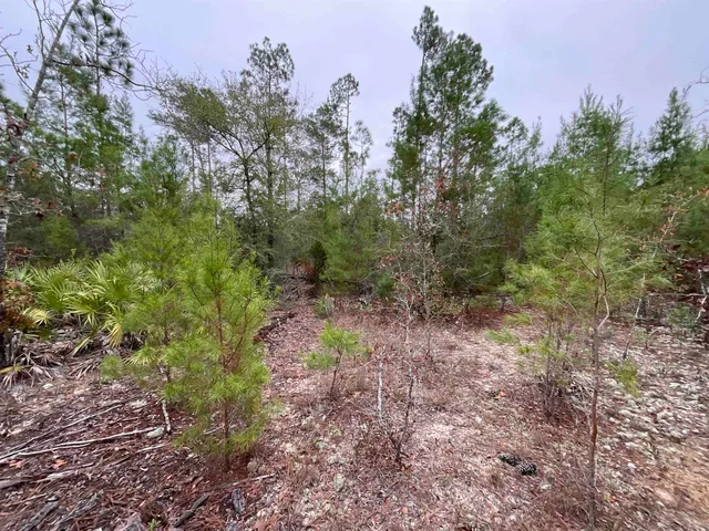 $68,400 | Vacant Joshua Road, Marianna, FL 32448