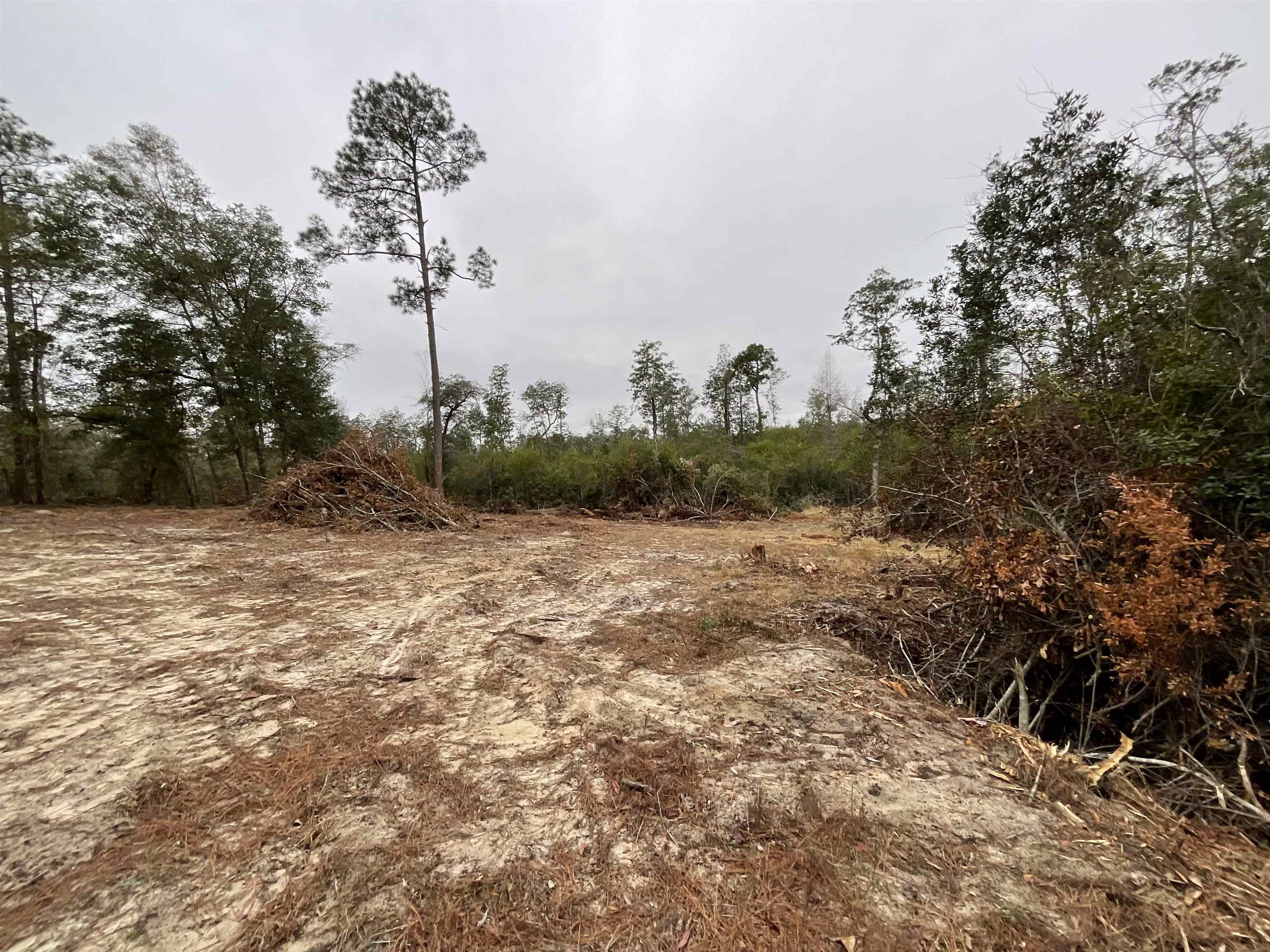 Vacant Joshua Road Marianna, FL 32448 - Photo 35 of 51