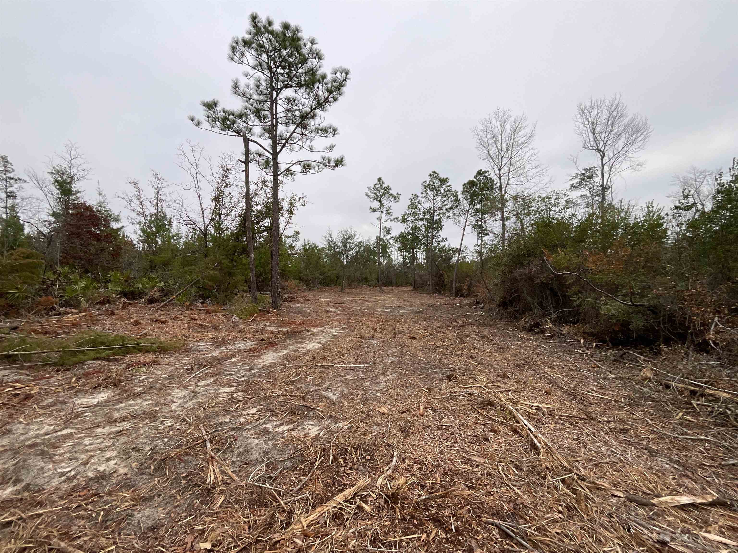 Vacant Joshua Road Marianna, FL 32448 - Photo 35 of 51 Gallery Image 35