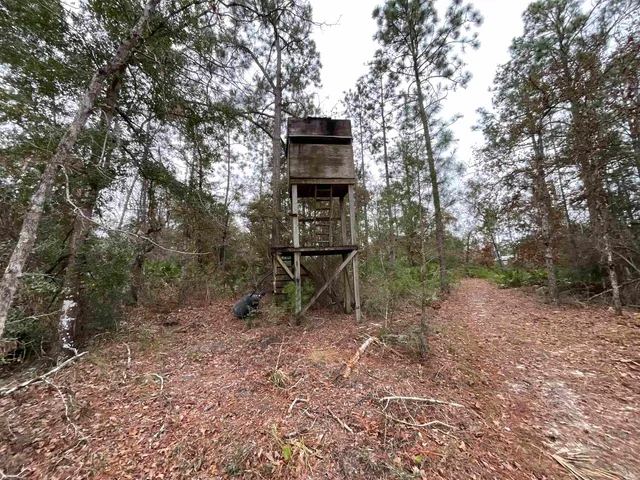 $68,400 | Vacant Joshua Road, Marianna, FL 32448