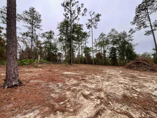 $68,400 | Vacant Joshua Road, Marianna, FL 32448