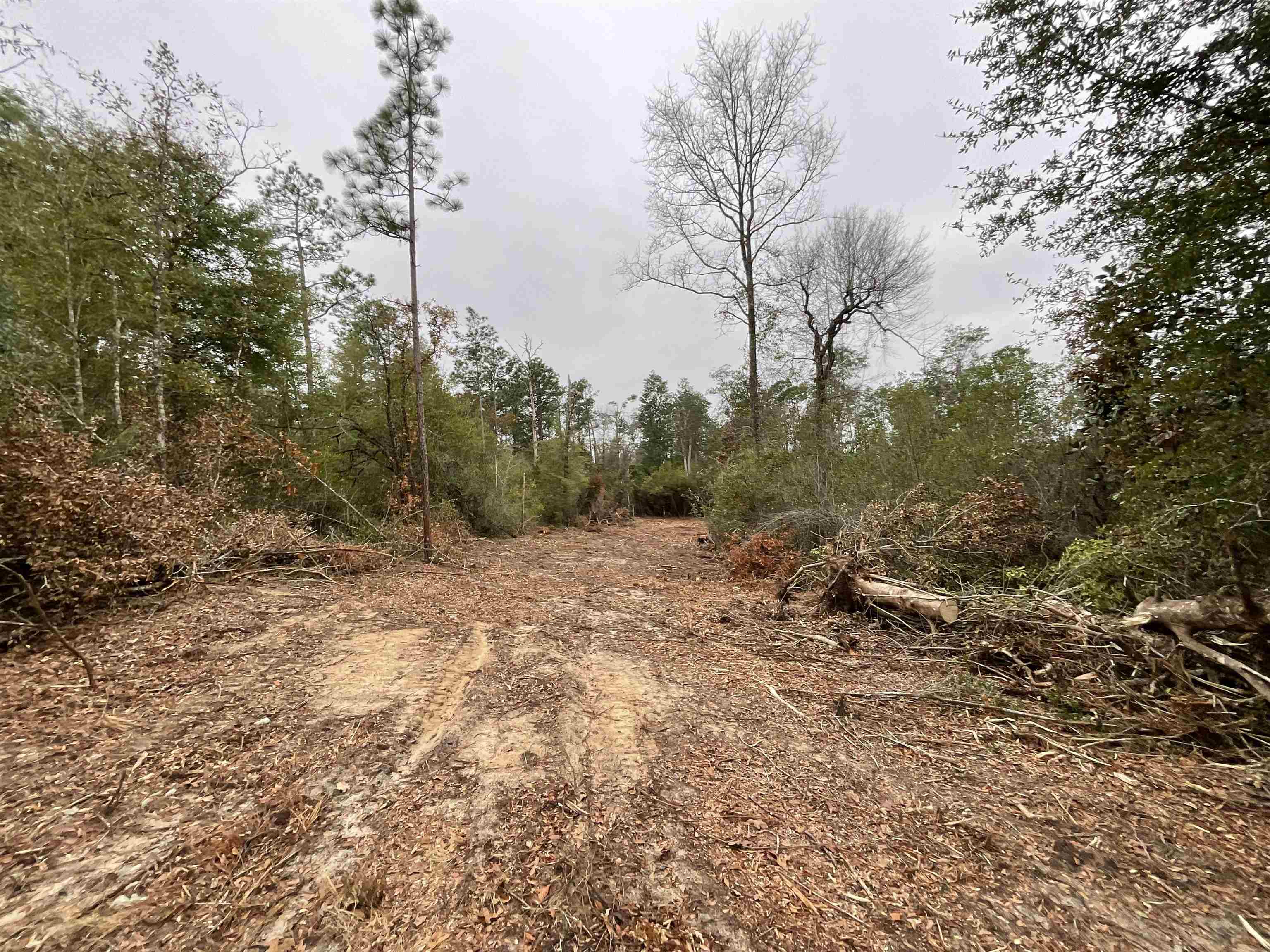 Vacant Joshua Road Marianna, FL 32448 - Photo 38 of 51 Gallery Image 38
