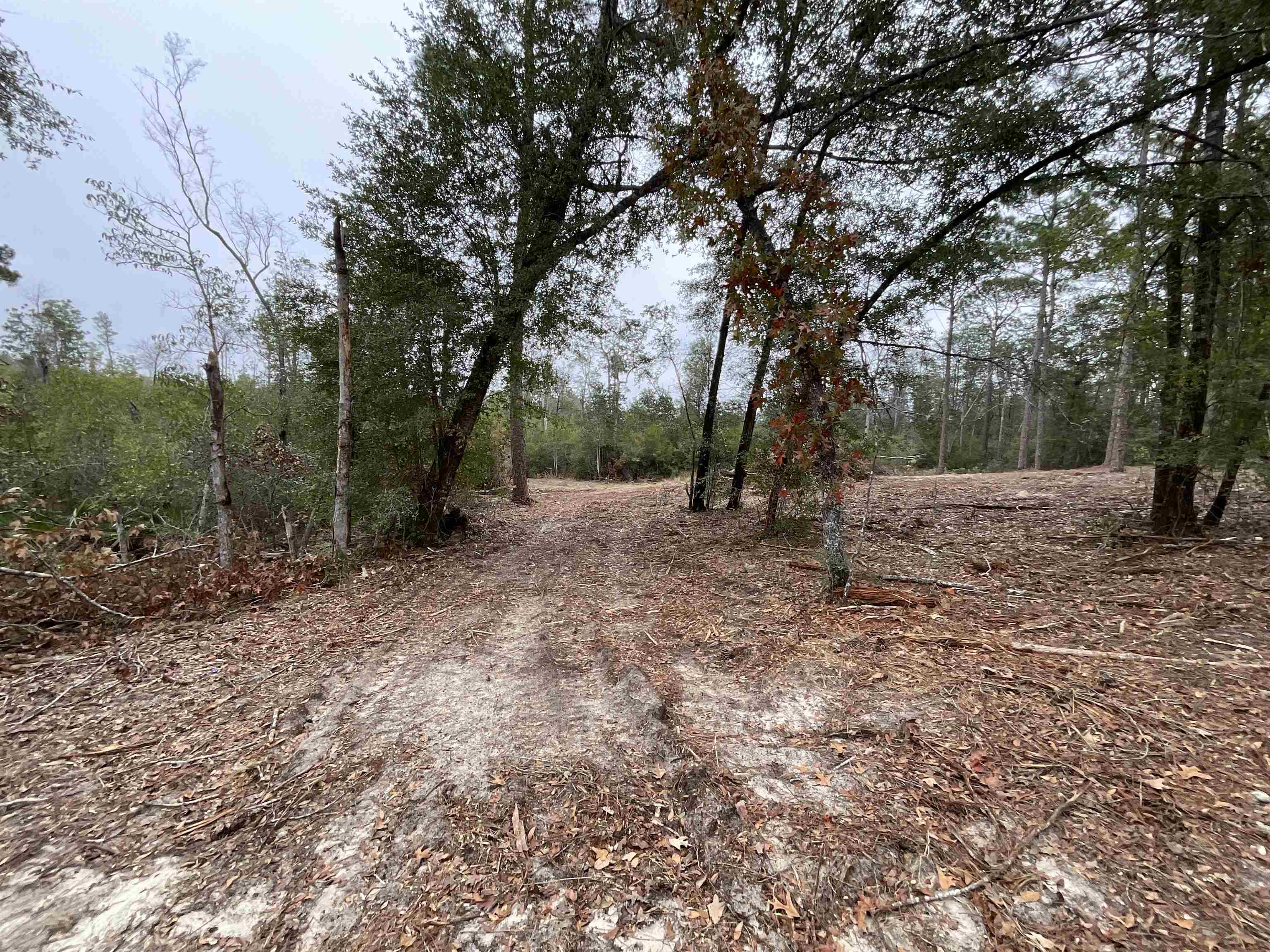 Vacant Joshua Road Marianna, FL 32448 - Photo 39 of 51 Gallery Image 39
