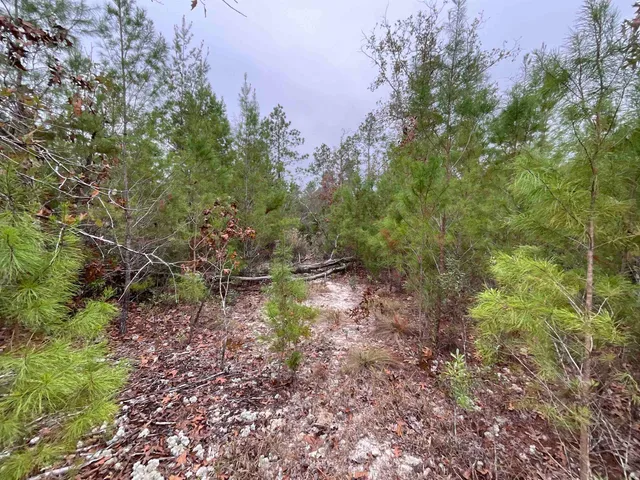 $68,400 | Vacant Joshua Road, Marianna, FL 32448