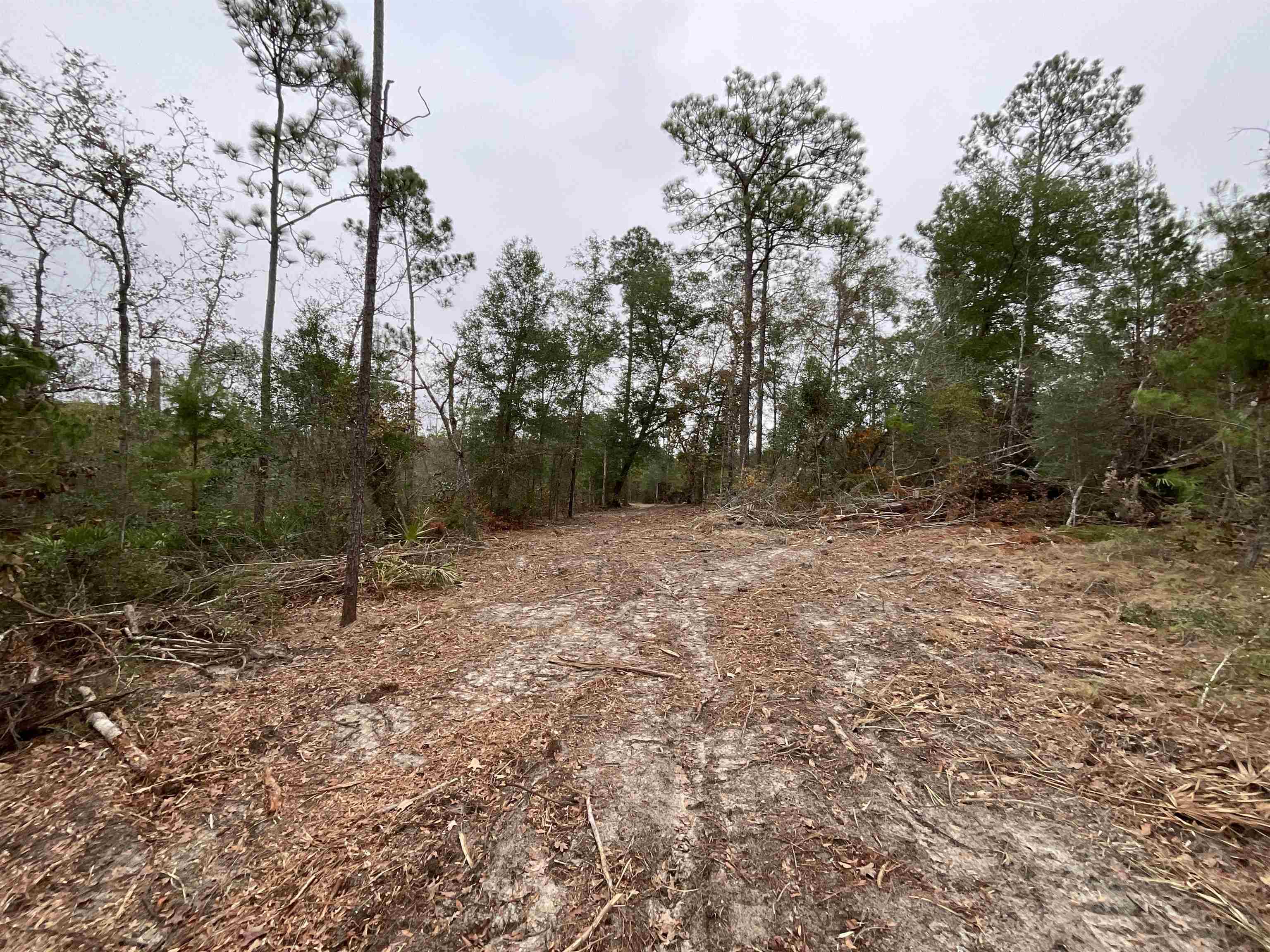 Vacant Joshua Road Marianna, FL 32448 - Photo 40 of 51 Gallery Image 40