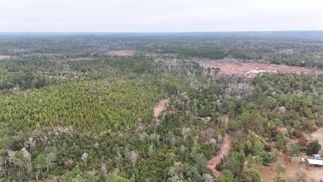 $68,400 | Vacant Joshua Road, Marianna, FL 32448