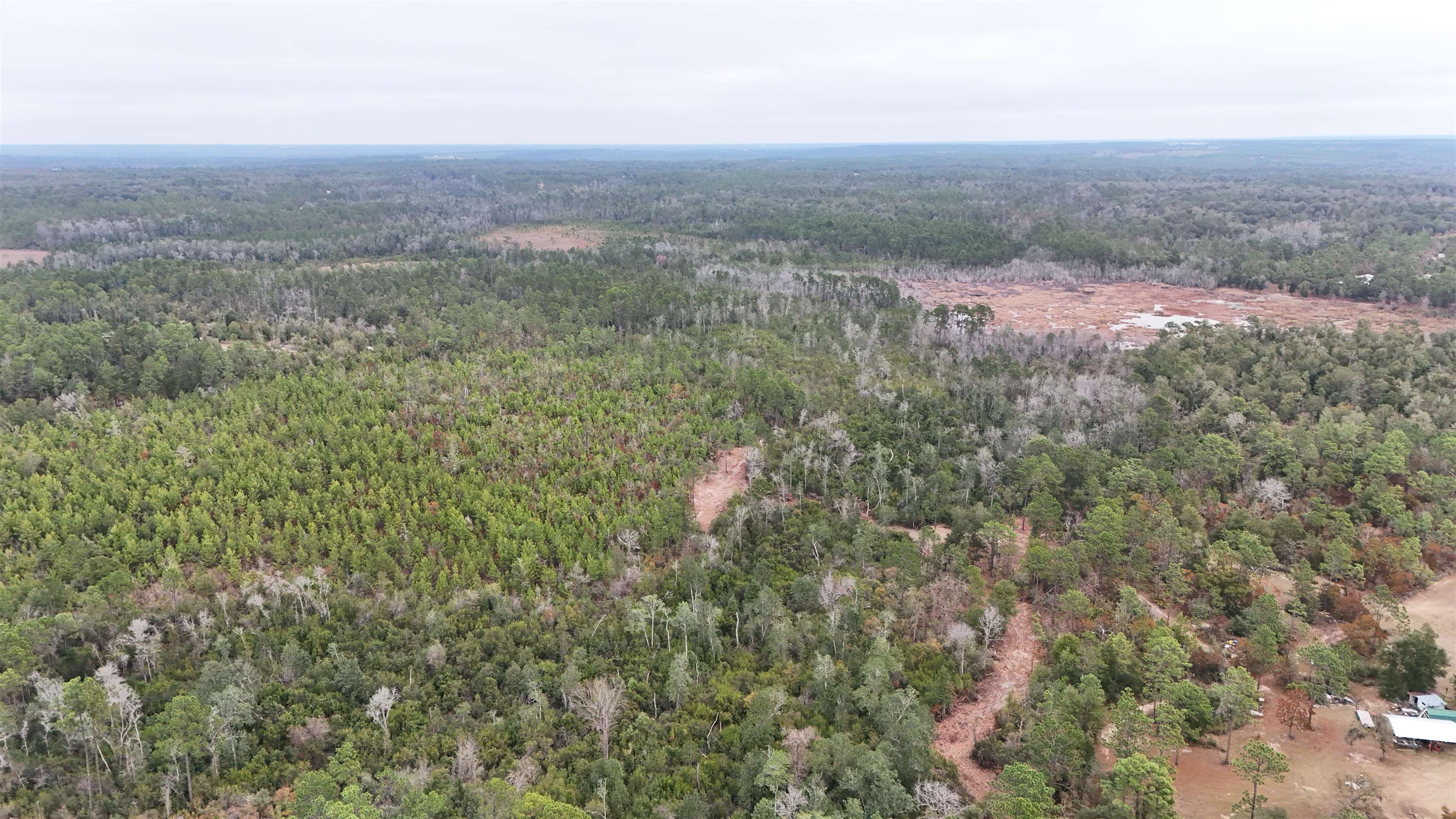 Vacant Joshua Road Marianna, FL 32448 - Photo 4 of 51