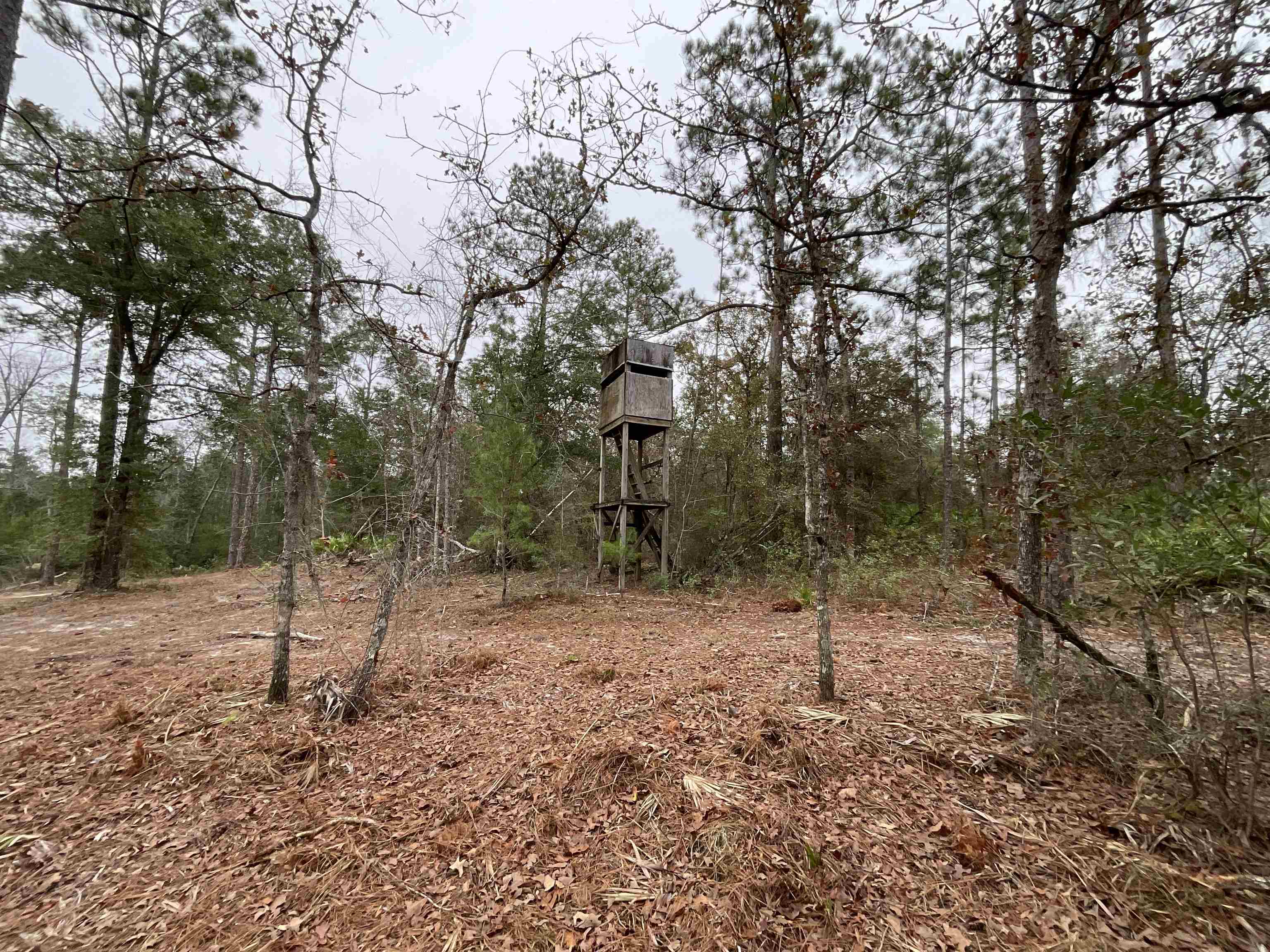 Vacant Joshua Road Marianna, FL 32448 - Photo 41 of 51