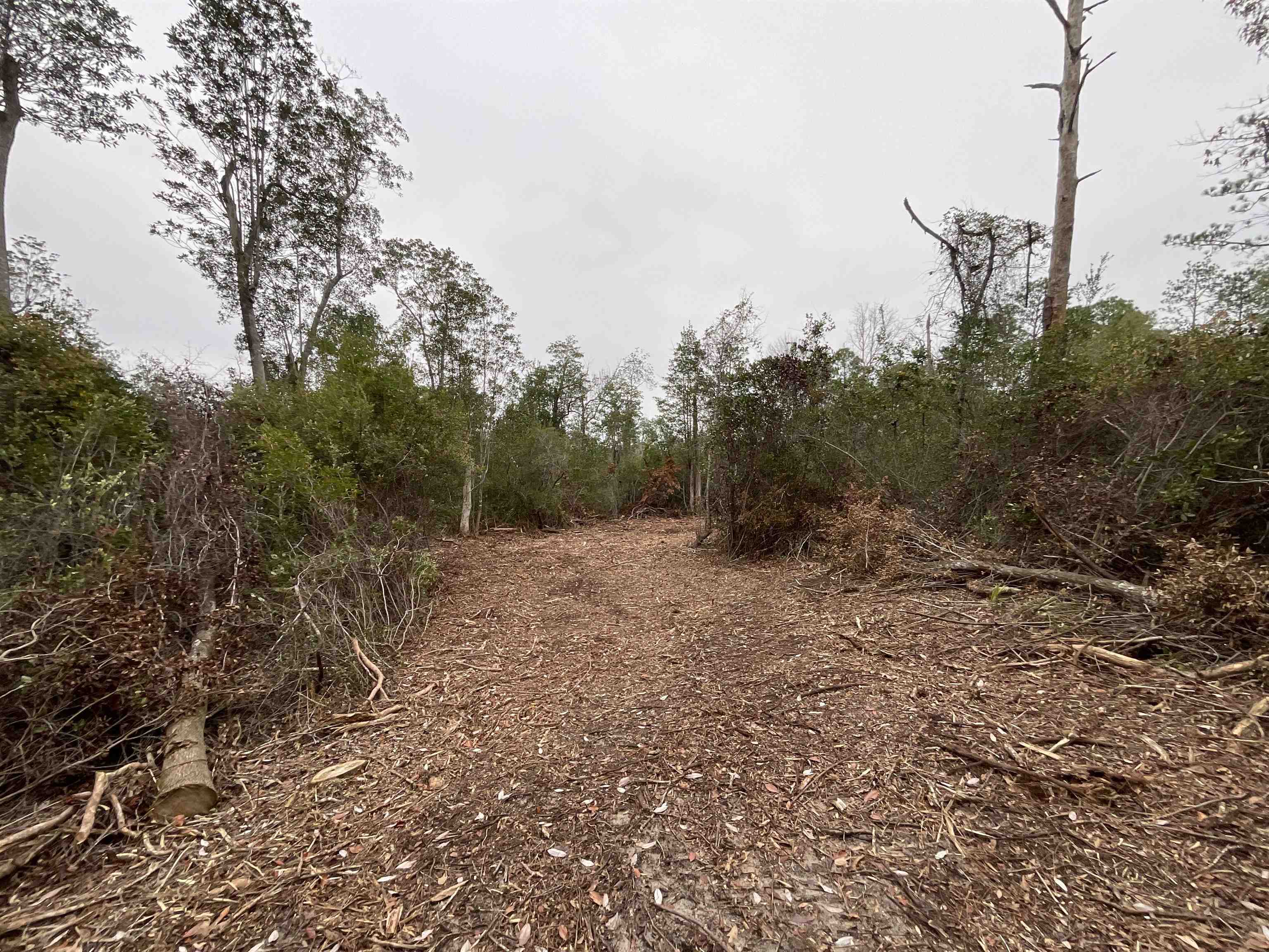 Vacant Joshua Road Marianna, FL 32448 - Photo 41 of 51 Gallery Image 41