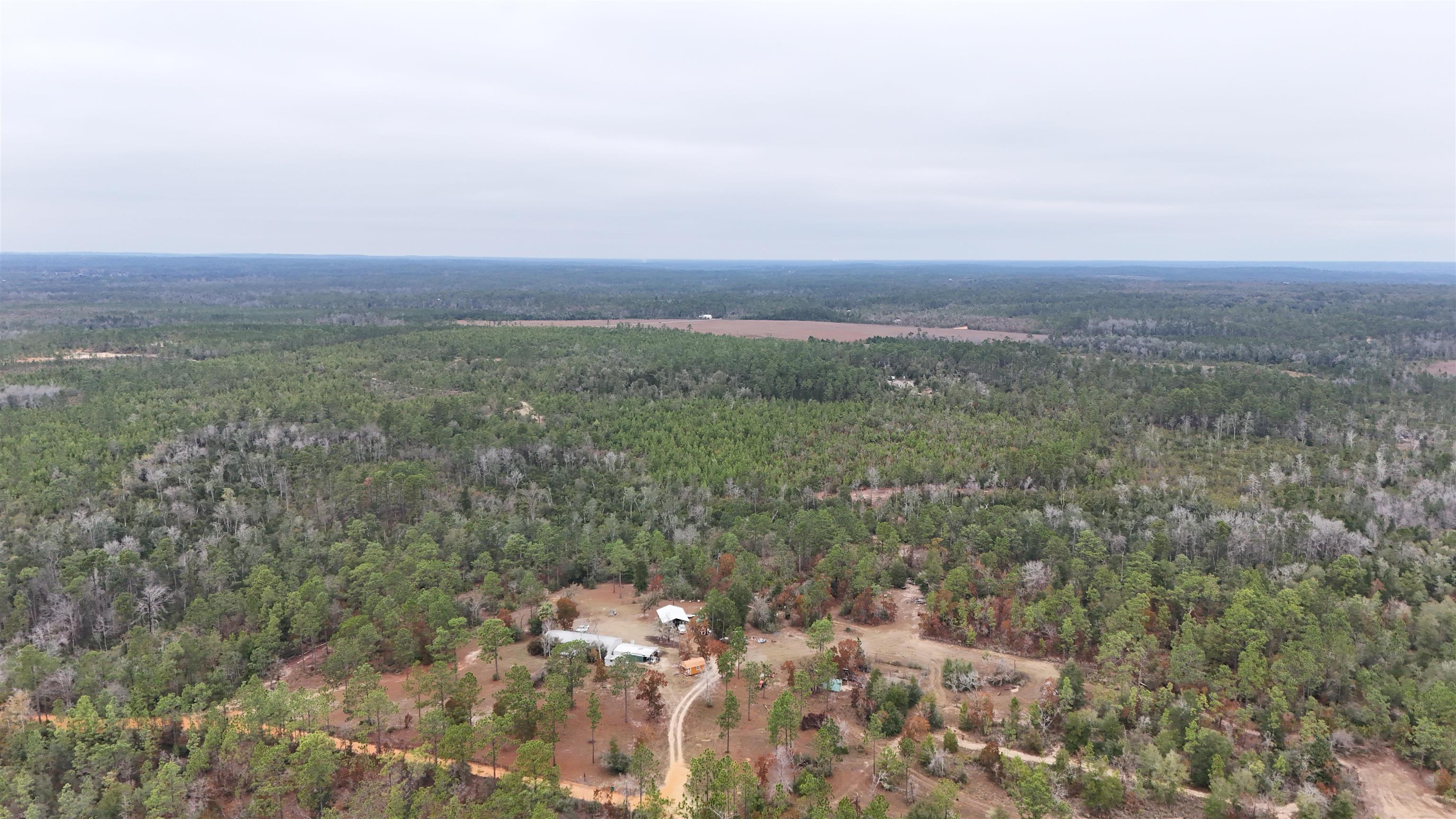 Vacant Joshua Road Marianna, FL 32448 - Photo 43 of 51