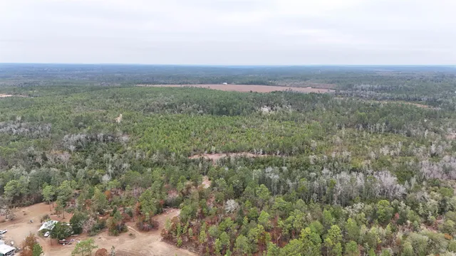 $68,400 | Vacant Joshua Road, Marianna, FL 32448