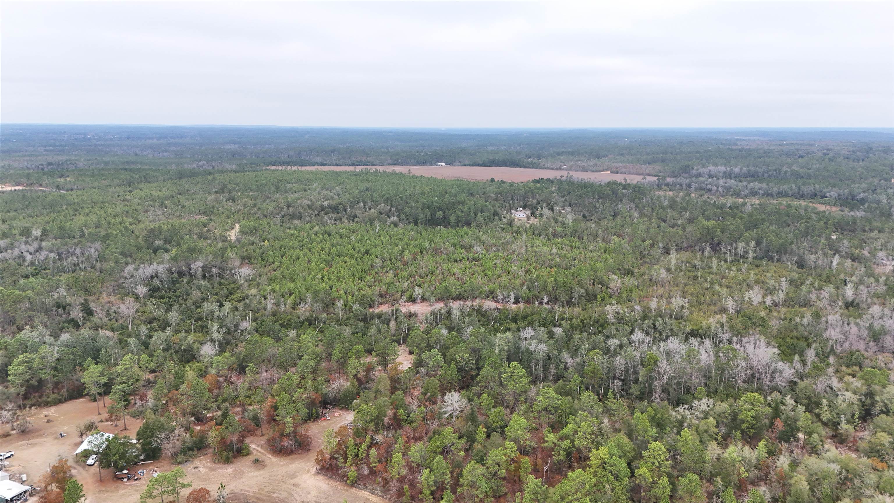 Vacant Joshua Road Marianna, FL 32448 - Photo 44 of 51