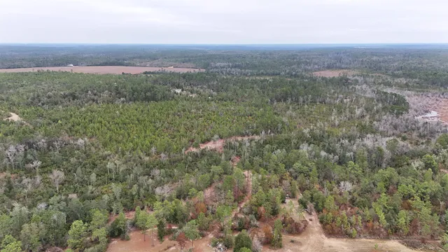 $68,400 | Vacant Joshua Road, Marianna, FL 32448