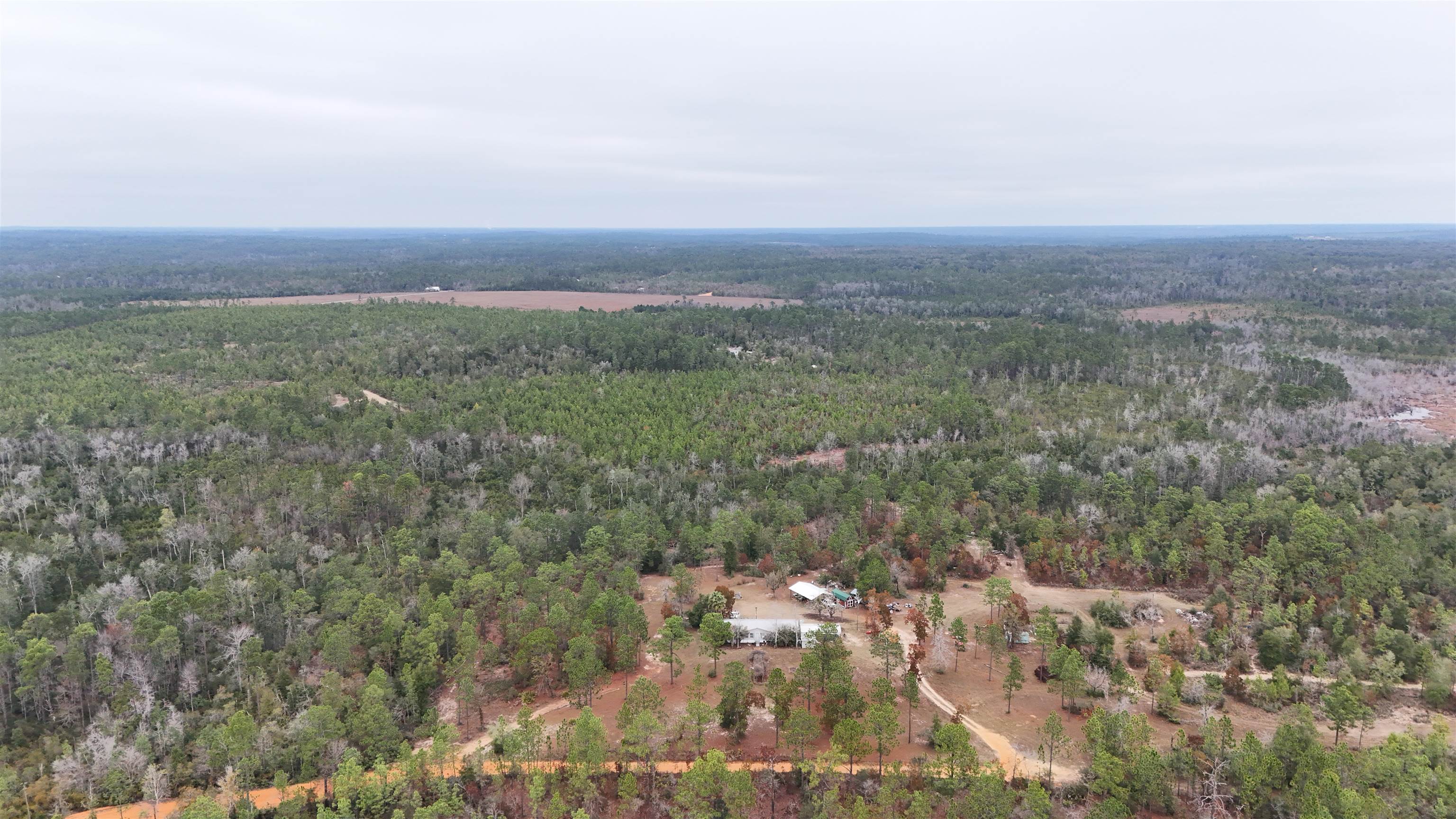 Vacant Joshua Road Marianna, FL 32448 - Photo 46 of 51