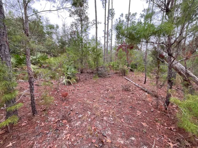 $68,400 | Vacant Joshua Road, Marianna, FL 32448