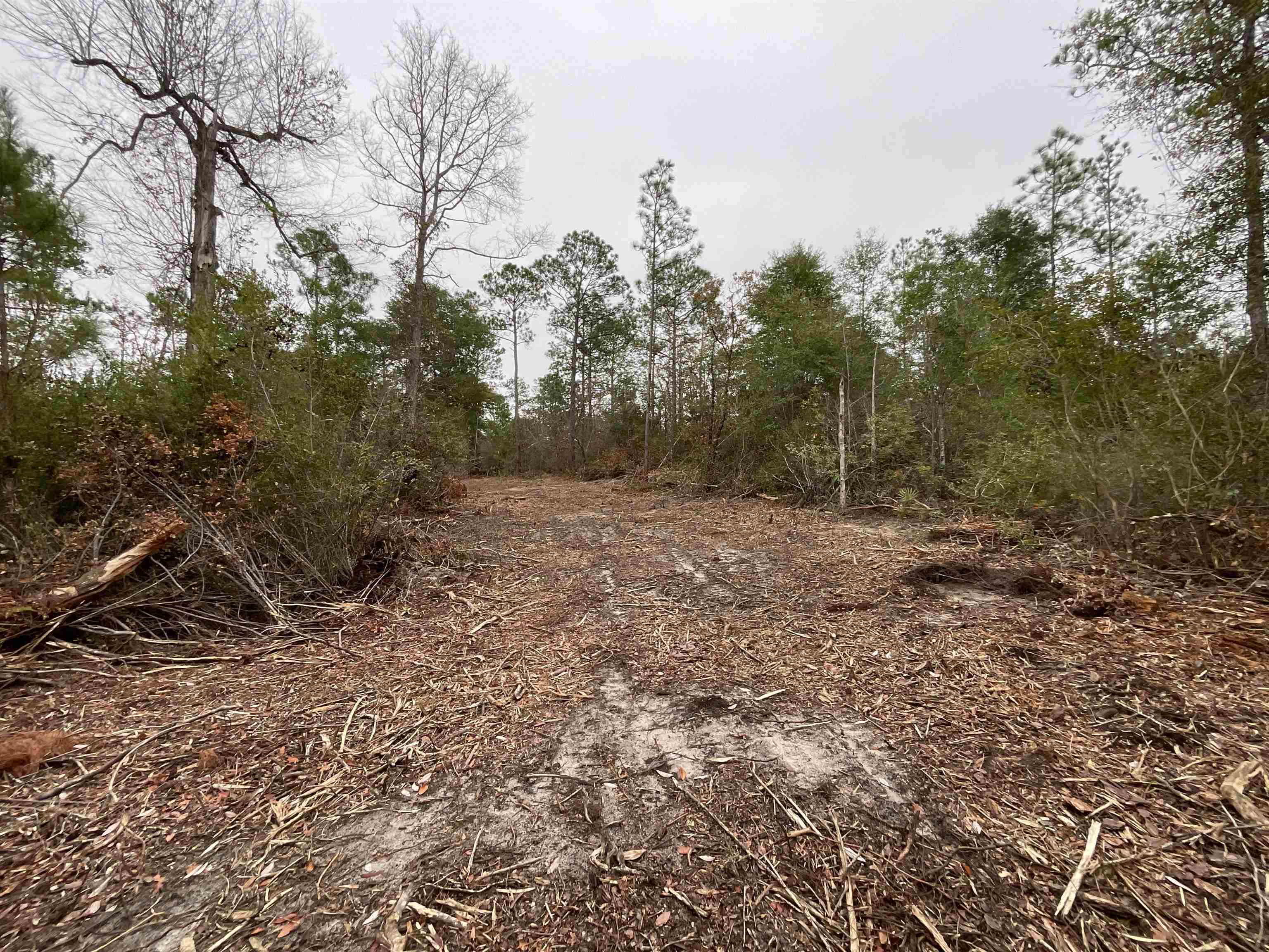 Vacant Joshua Road Marianna, FL 32448 - Photo 48 of 51 Gallery Image 48