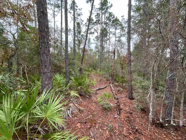 $68,400 | Vacant Joshua Road, Marianna, FL 32448