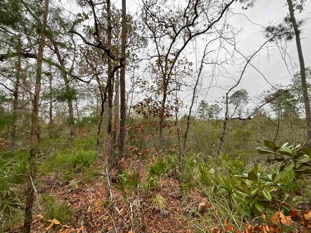 $68,400 | Vacant Joshua Road, Marianna, FL 32448