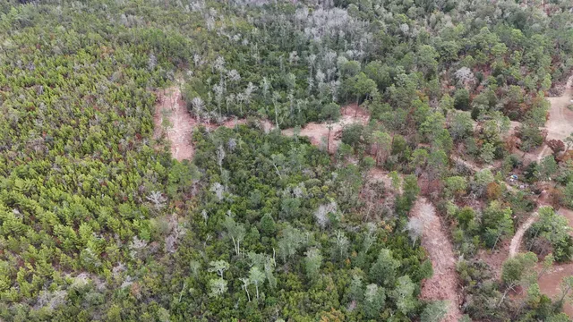 $68,400 | Vacant Joshua Road, Marianna, FL 32448