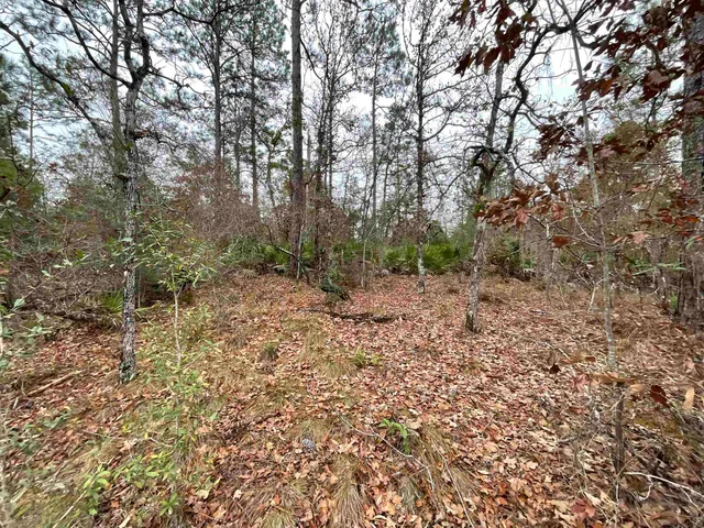 $68,400 | Vacant Joshua Road, Marianna, FL 32448