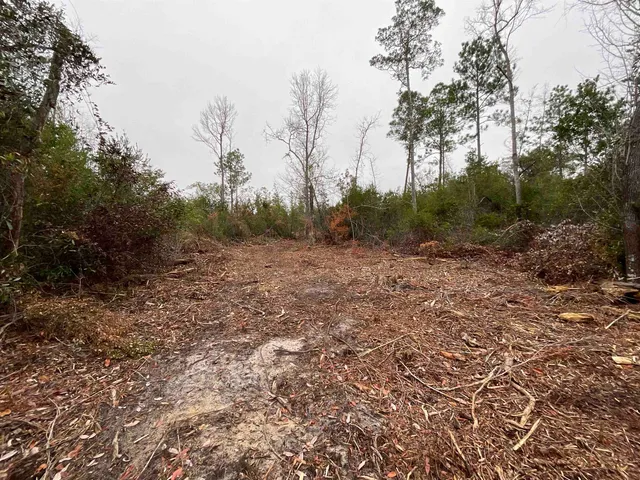 $68,400 | Vacant Joshua Road, Marianna, FL 32448