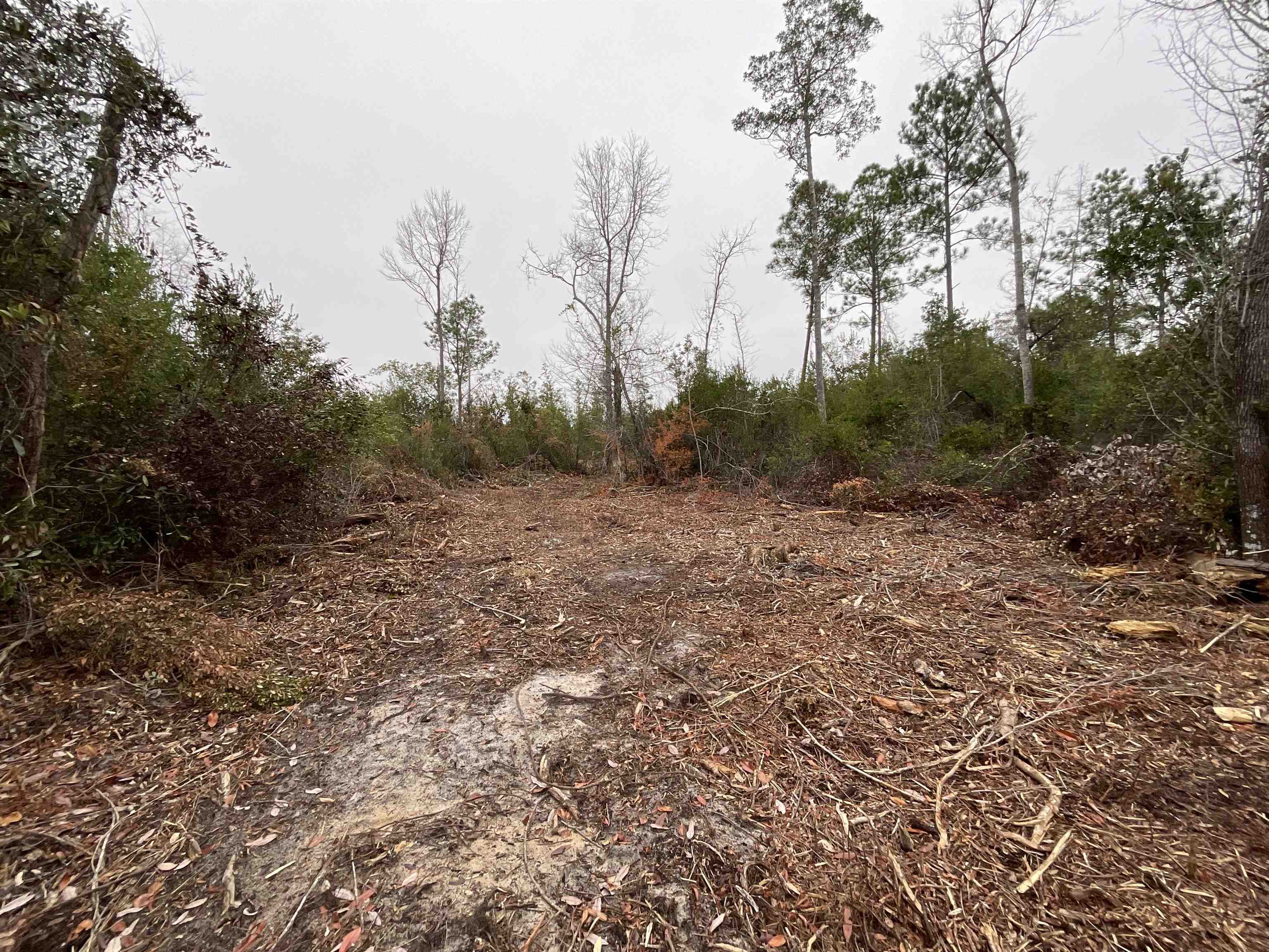 Vacant Joshua Road Marianna, FL 32448 - Photo 8 of 51