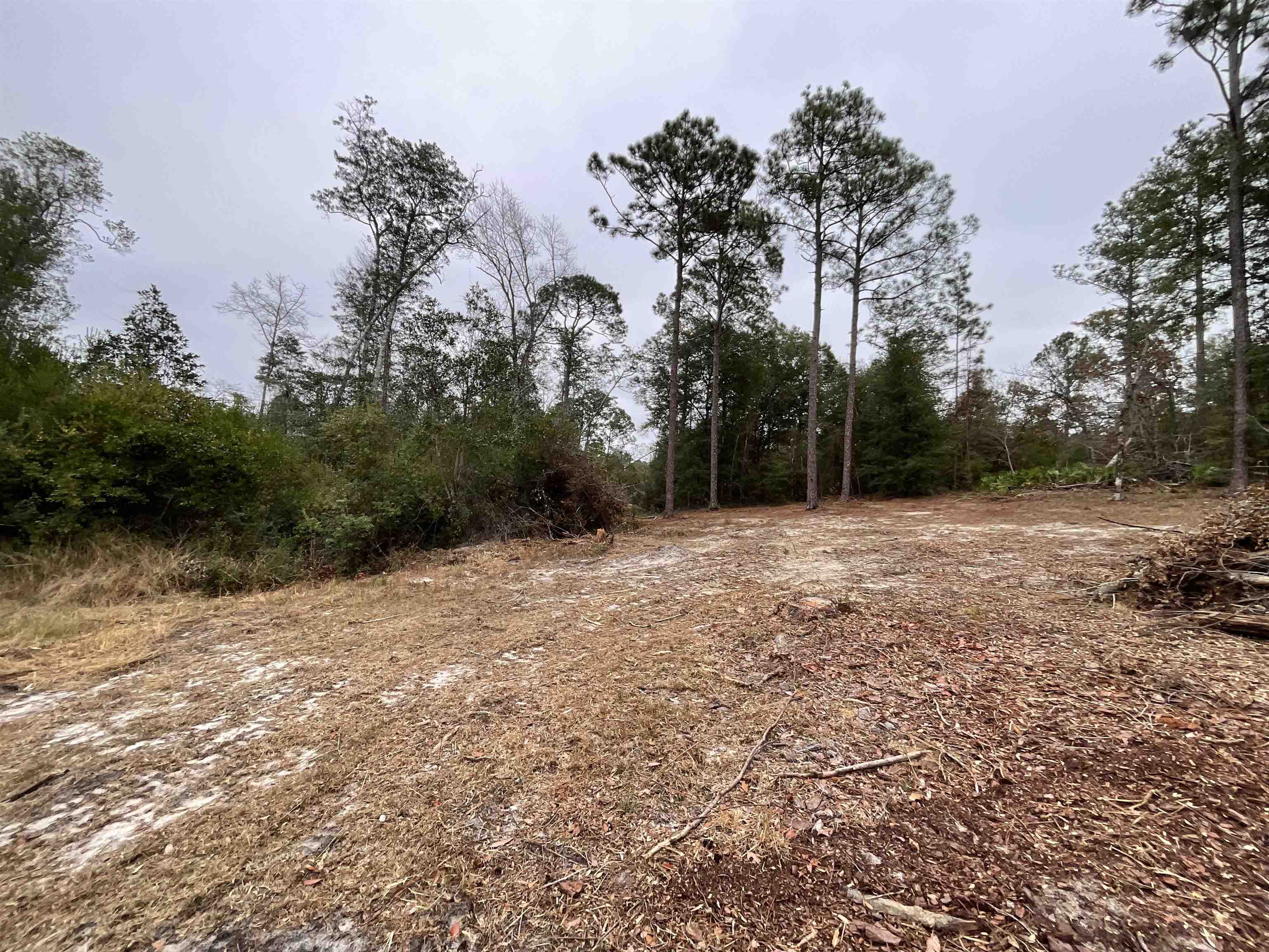 Vacant Joshua Road Marianna, FL 32448 - Photo 10 of 51 Gallery Image 10