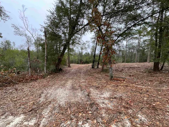 $68,400 | Vacant Joshua Road, Marianna, FL 32448