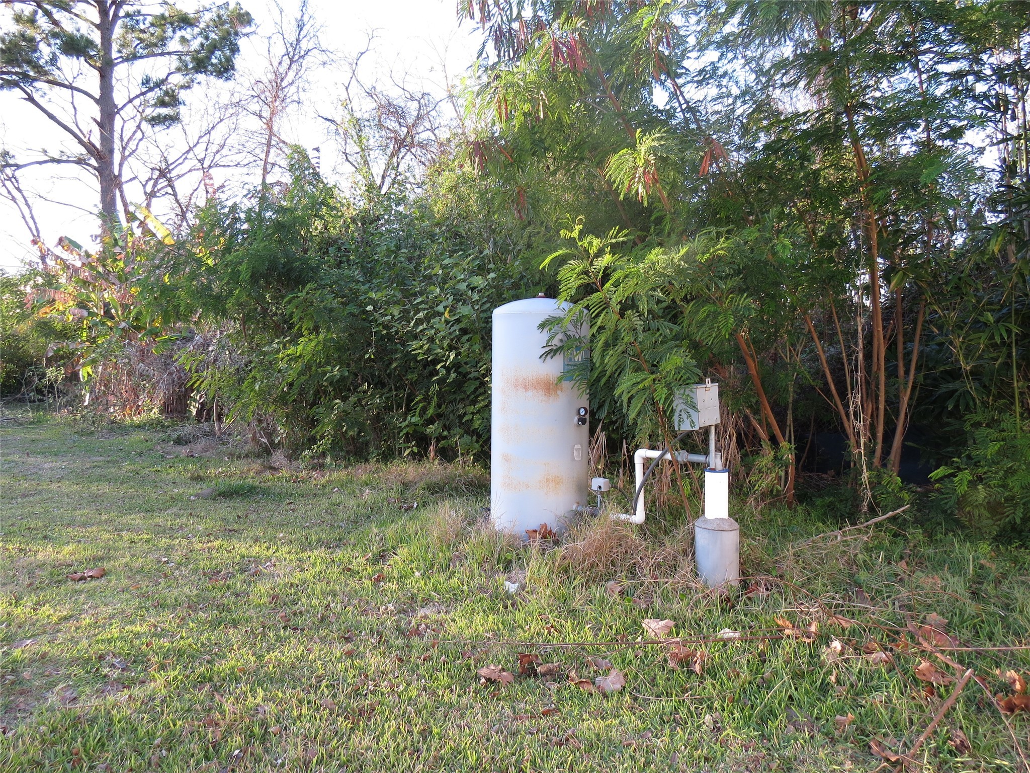 1825 Isom Street Houston, TX 77039 - Photo 4 of 8 a wooden fence with some potted plants and large trees