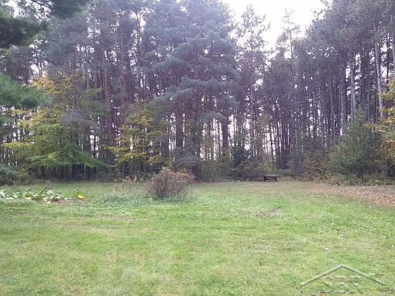 11455 Dice Road Freeland, MI 48623 - Photo 6 of 16 A couple acres of woods are included in the 34 acres of land. This is directly behind the house to enhance your privacy.