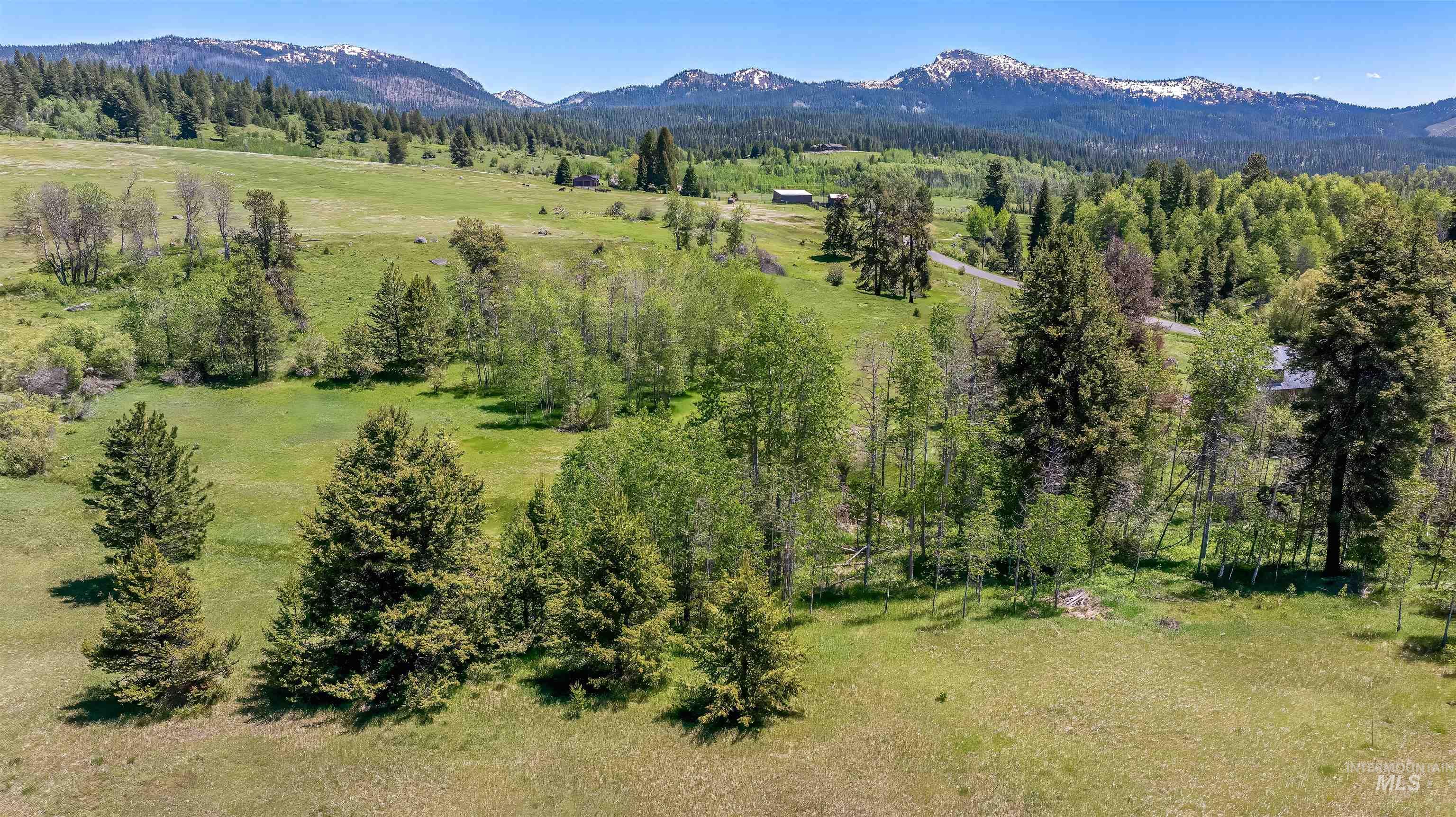 14128 Jefferson Road McCall, ID 83638 - Photo 3 of 14