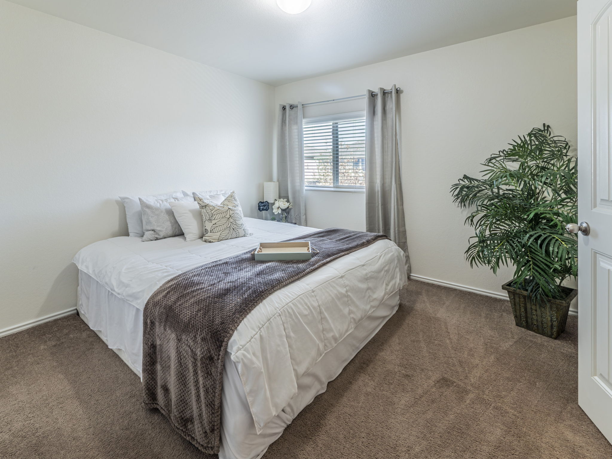 1366 Heep Run Buda, TX 78610 - Photo 17 of 37 Carpeted bedroom featuring baseboards