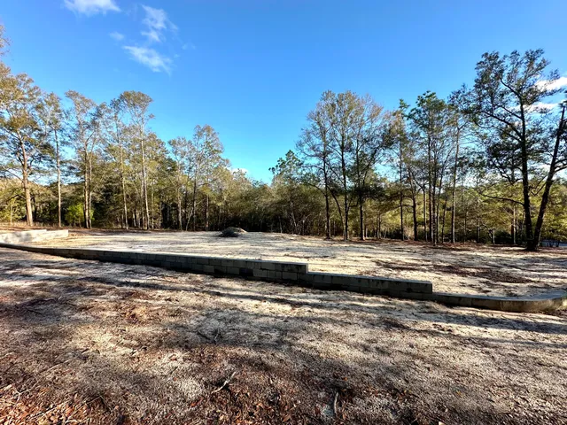 a view of dirt yard with a large tree