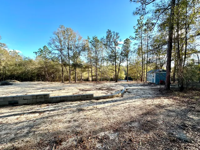 a view of road covered with trees