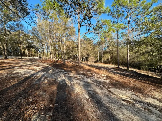 a view of road with trees