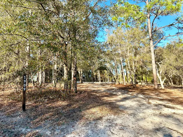 a view of outdoor space with trees