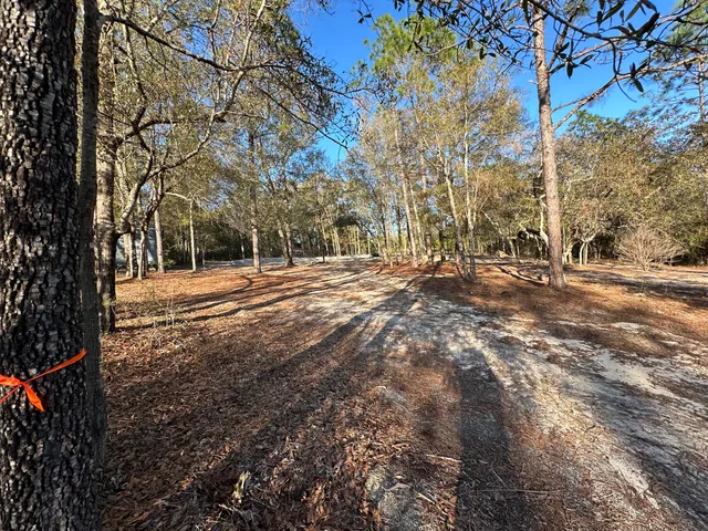 a backyard of a house with trees and houses