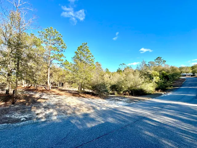 a view of a backyard of the house
