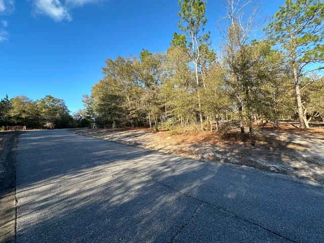 a view of backyard and tree