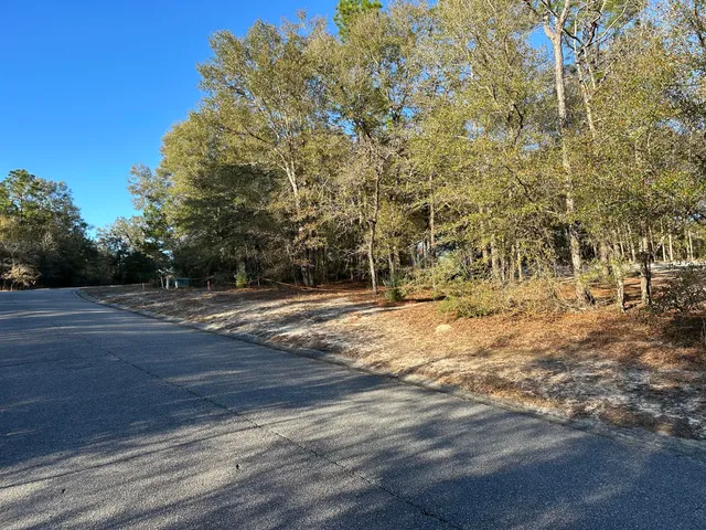 a view of backyard space