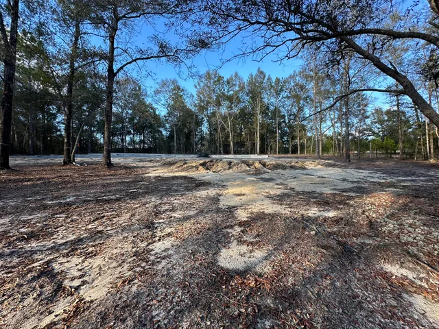 a view of dirt yard with a large tree