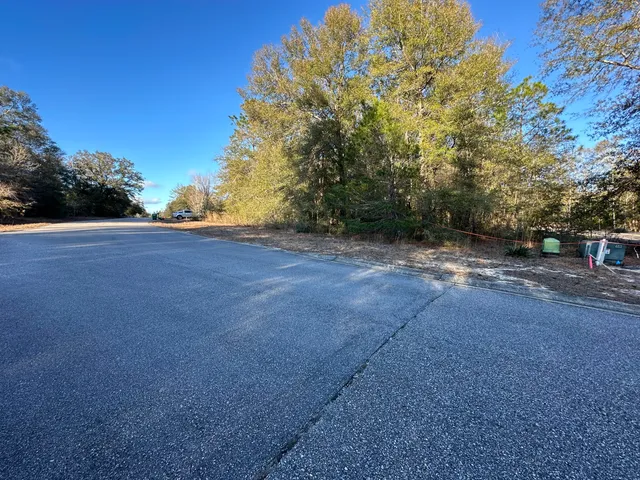 a view of a yard with a tree