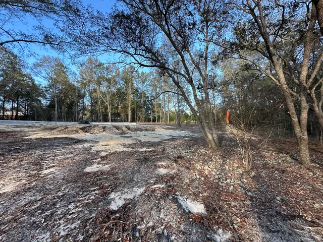 a view of outdoor space with trees
