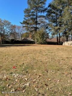 105 Ridgecrest Drive Ridgeland, MS 39157 - Photo 1 of 6 IMG_9279