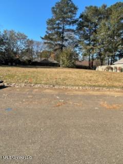 105 Ridgecrest Drive Ridgeland, MS 39157 - Photo 6 of 6 IMG_9284