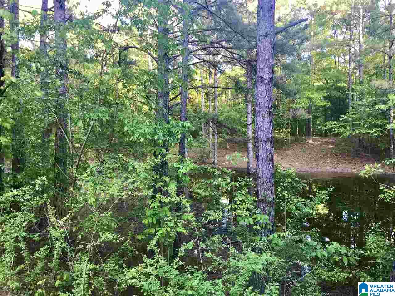 2607 Highway 20 Calera, AL 35040 - Photo 8 of 28