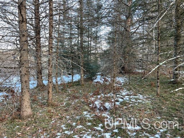 11812 East Howen Road Long Lake, WI 54542 - Photo 8 of 20